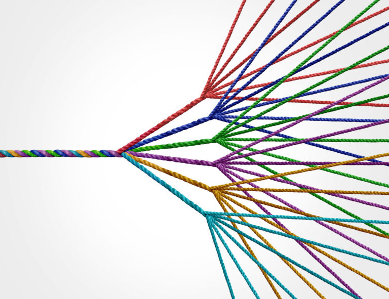 White background with multi-colored cord twisted in a single line, then fragments into five distinct single colors offshotting in various directions